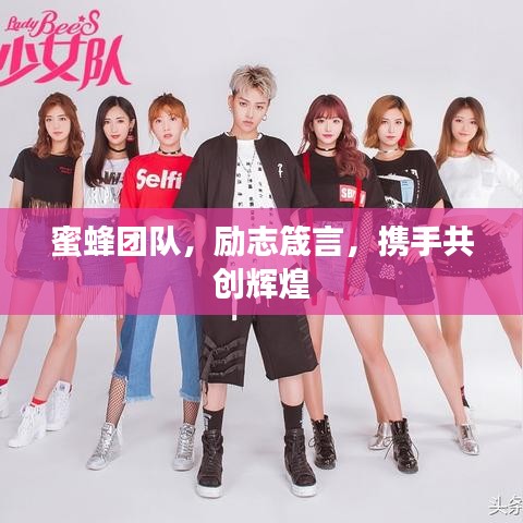 蜜蜂团队,励志箴言,携手共创辉煌