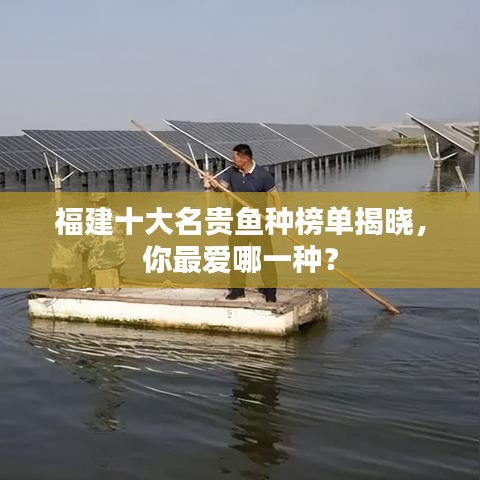福建十大名贵鱼种榜单揭晓,你最爱哪一种?