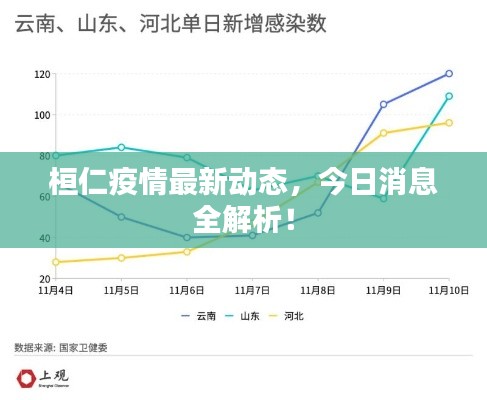 桓仁疫情最新动态,今日消息全解析!