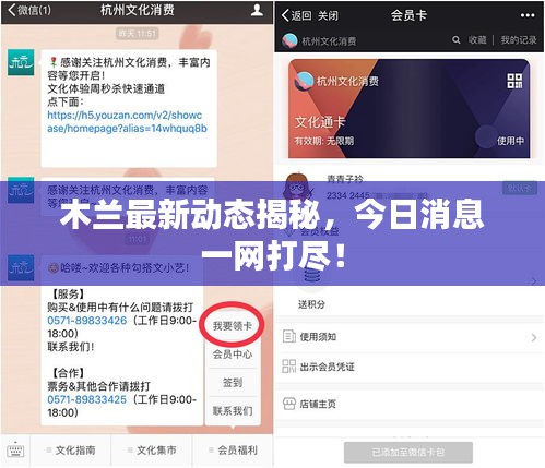 木兰最新动态揭秘，今日消息一网打尽！