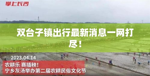 双台子镇出行最新消息一网打尽!