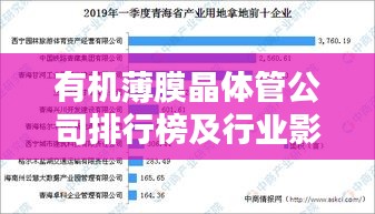 有机薄膜晶体管公司排行榜及行业影响力解析