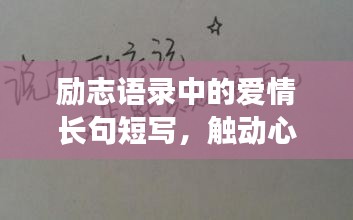 励志语录中的爱情长句短写,触动心灵的情感告白