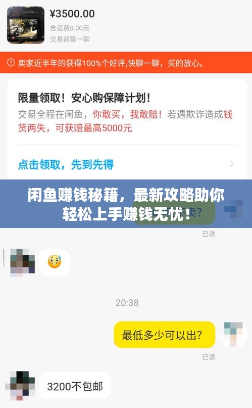 闲鱼赚钱秘籍,最新攻略助你轻松上手赚钱无忧!