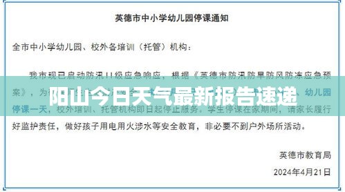 阳山今日天气最新报告速递