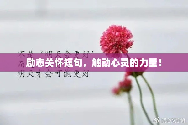 励志关怀短句,触动心灵的力量!