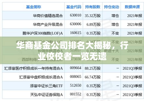 华商基金公司排名大揭秘，行业佼佼者一览无遗