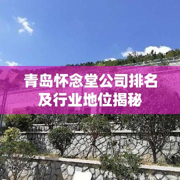 青岛怀念堂公司排名及行业地位揭秘