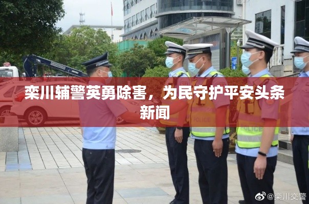 栾川辅警英勇除害,为民守护平安头条新闻