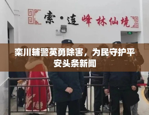 栾川辅警英勇除害,为民守护平安头条新闻