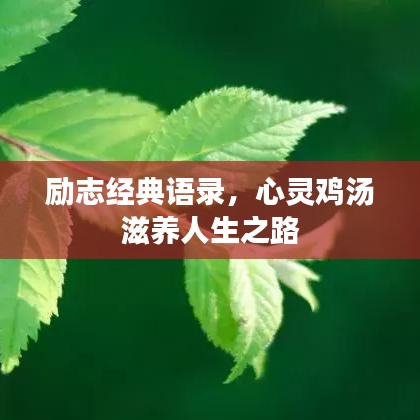 励志经典语录，心灵鸡汤滋养人生之路