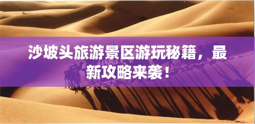 沙坡头旅游景区游玩秘籍,最新攻略来袭!