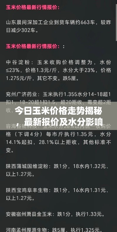 今日玉米价格走势揭秘，最新报价及水分影响分析