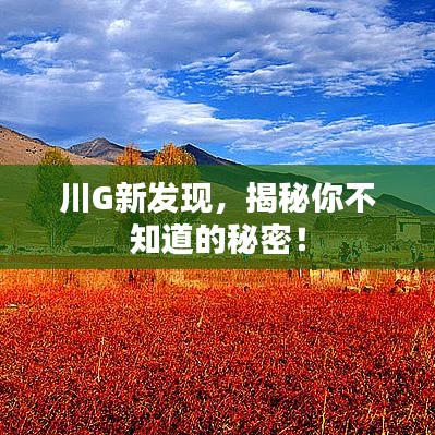 川G新发现，揭秘你不知道的秘密！