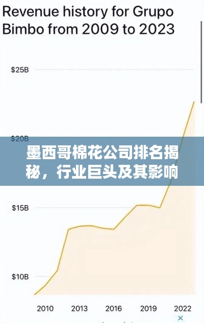 墨西哥棉花公司排名揭秘,行业巨头及其影响力不容小觑