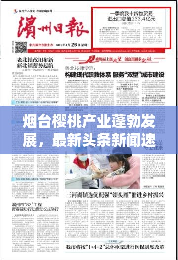 烟台樱桃产业蓬勃发展,最新头条新闻速览