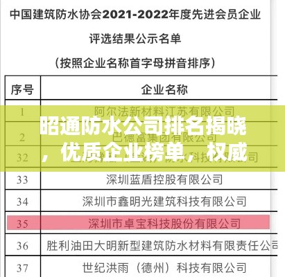 昭通防水公司排名揭晓,优质企业榜单,权威排名来袭!