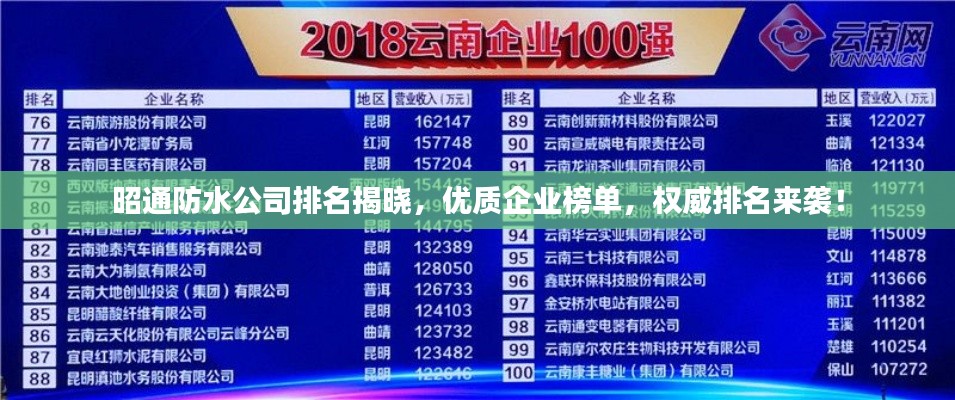 昭通防水公司排名揭晓,优质企业榜单,权威排名来袭!