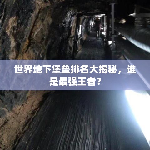 世界地下堡垒排名大揭秘,谁是最强王者?