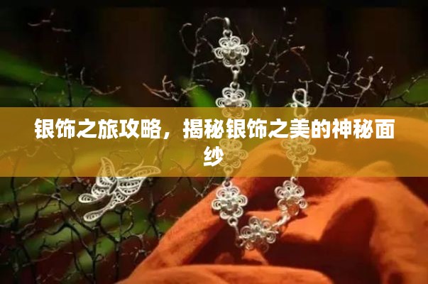 银饰之旅攻略,揭秘银饰之美的神秘面纱