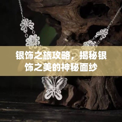 银饰之旅攻略,揭秘银饰之美的神秘面纱