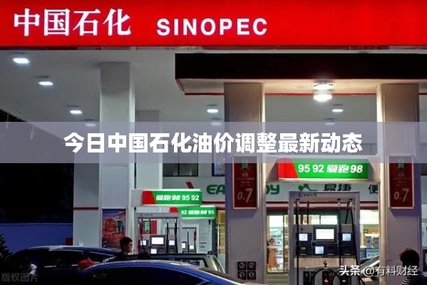今日中国石化油价调整最新动态