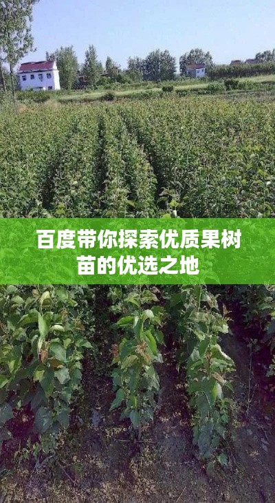 百度带你探索优质果树苗的优选之地