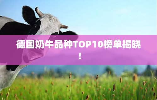 德国奶牛品种TOP10榜单揭晓!
