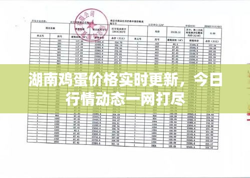 湖南鸡蛋价格实时更新，今日行情动态一网打尽