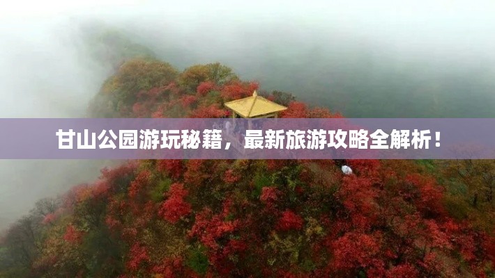 甘山公园游玩秘籍,最新旅游攻略全解析!