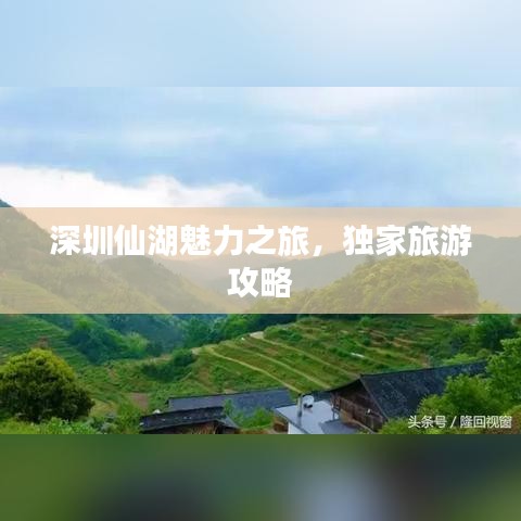 深圳仙湖魅力之旅,独家旅游攻略