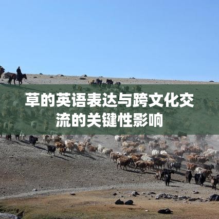 草的英语表达与跨文化交流的关键性影响