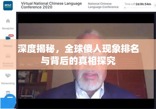 深度揭秘，全球傻人现象排名与背后的真相探究