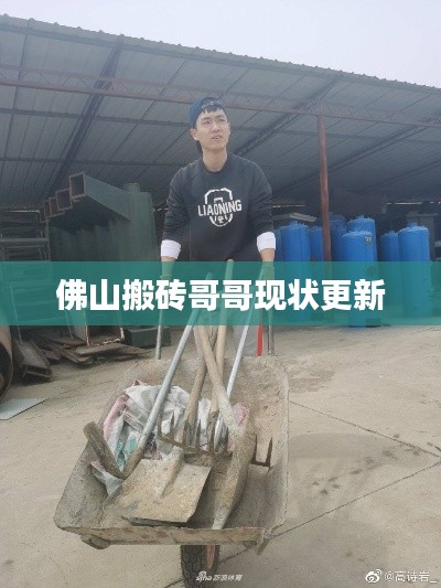 佛山搬砖哥哥现状更新