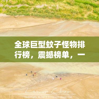 2025年5月 第77页