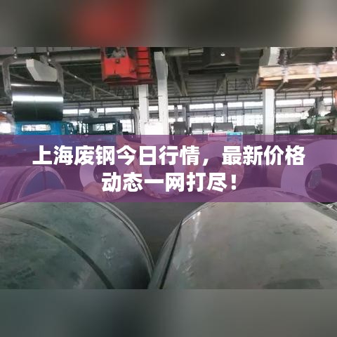 上海废钢今日行情,最新价格动态一网打尽!