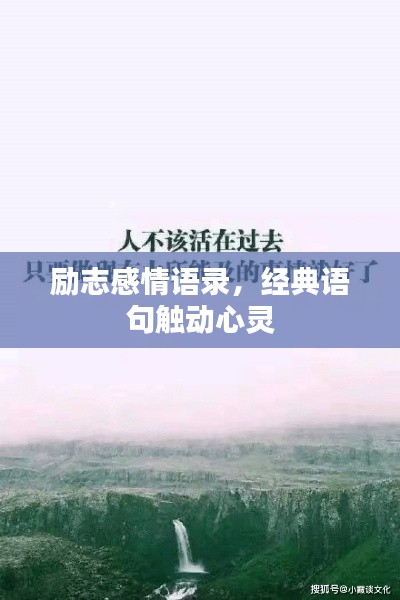 励志感情语录,经典语句触动心灵