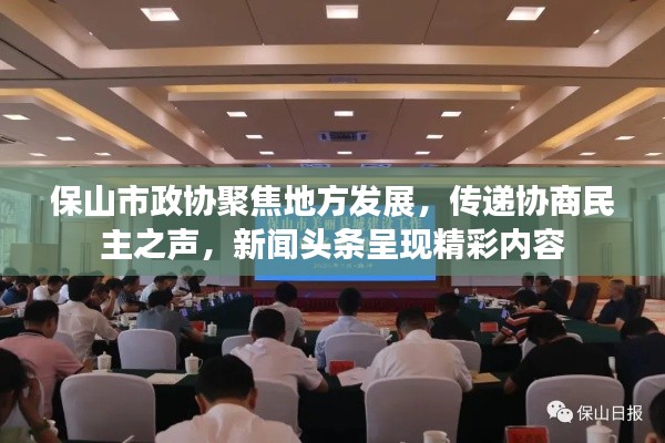 保山市政协聚焦地方发展,传递协商民主之声,新闻头条呈现精彩内容