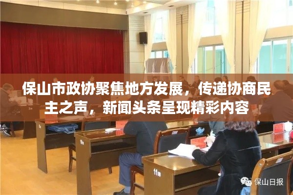 保山市政协聚焦地方发展,传递协商民主之声,新闻头条呈现精彩内容