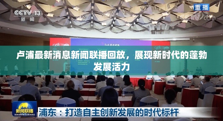 卢浦最新消息新闻联播回放,展现新时代的蓬勃发展活力