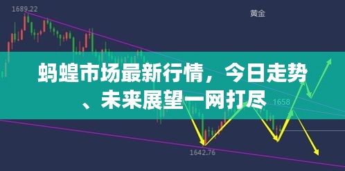 蚂蝗市场最新行情,今日走势、未来展望一网打尽