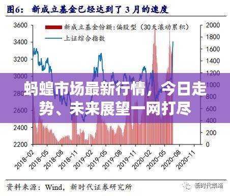 蚂蝗市场最新行情,今日走势、未来展望一网打尽