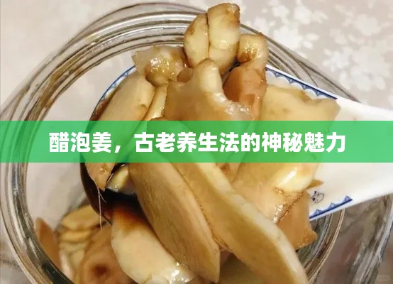 鸟啼花怨