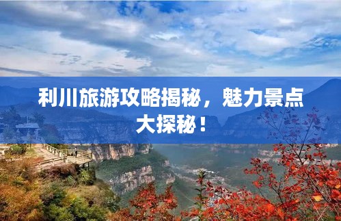 2025年5月8日 第4页