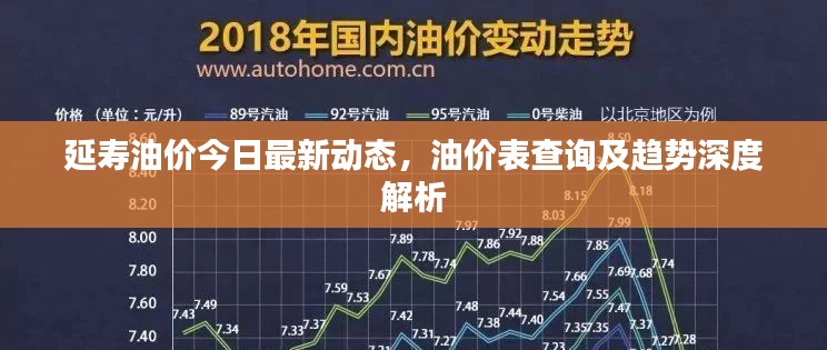 延寿油价今日最新动态,油价表查询及趋势深度解析