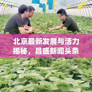 手舞足蹈