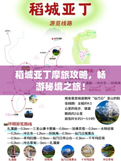 2025年5月10日 第4页