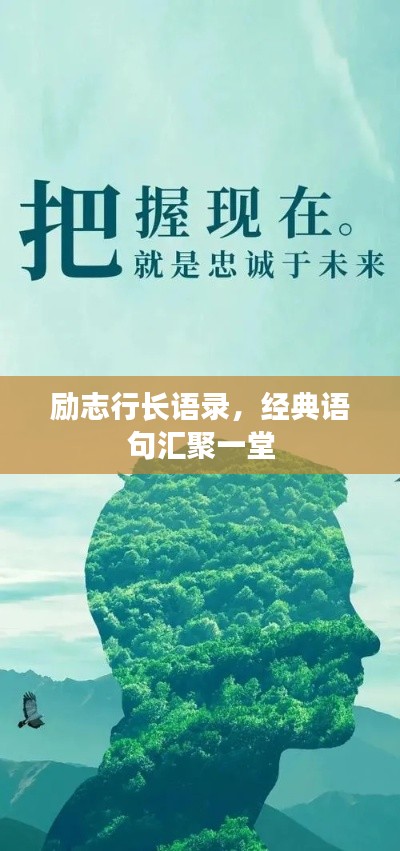 2025年5月11日 第4页