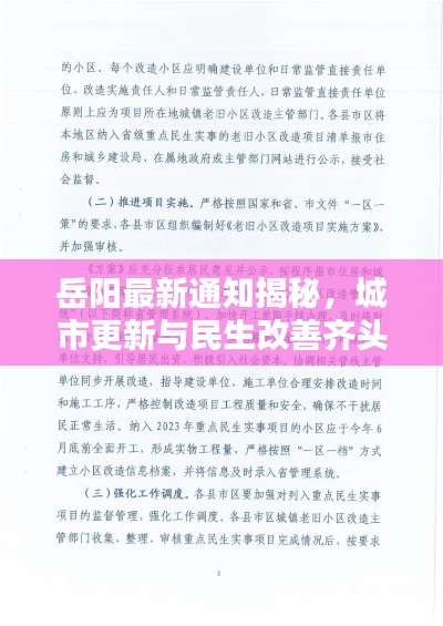 2025年5月12日 第3页