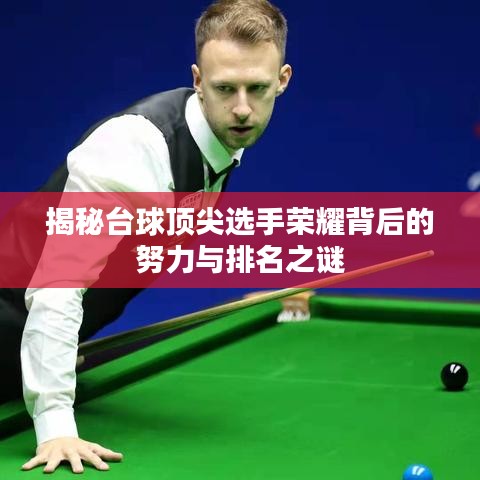 雍容华贵